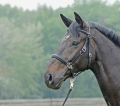 TN120871_image_ohne_vorne.jpg