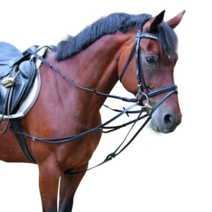 Wodze trójkatne Kerbl