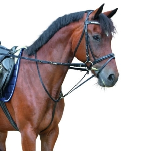 Wodze Thiedemann Kerbl