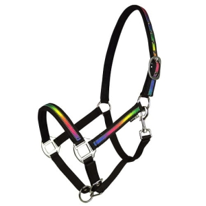 Kantar York Rainbow Reflect