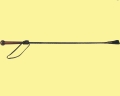 A10.JPG