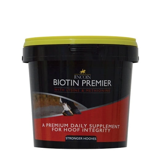 4075-Lincoln-Biotin-Premier-600g-01.jpg