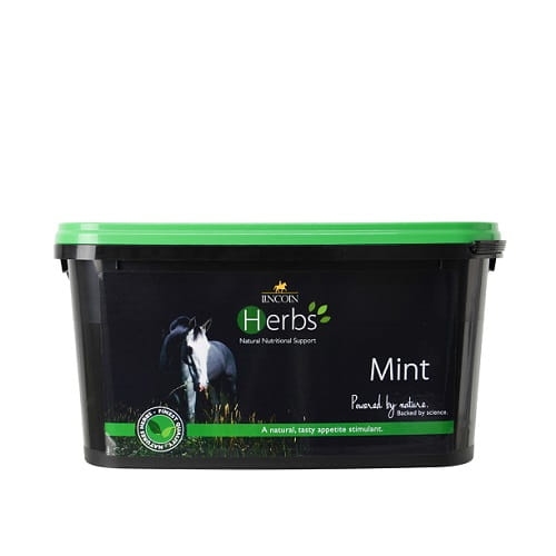 18680-Lincoln-Herbs-Mint-1kg-01-1.jpg