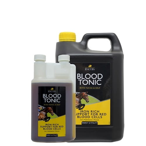 PR-20399-Lincoln-Blood-Tonic-Group-01-1.jpg