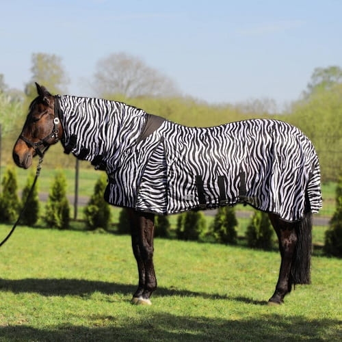 pol_pl_Derka-York-siatkowa-z-kapturem-Zebra-9934_1.jpg