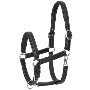 Kantar skórzany Start Softy 