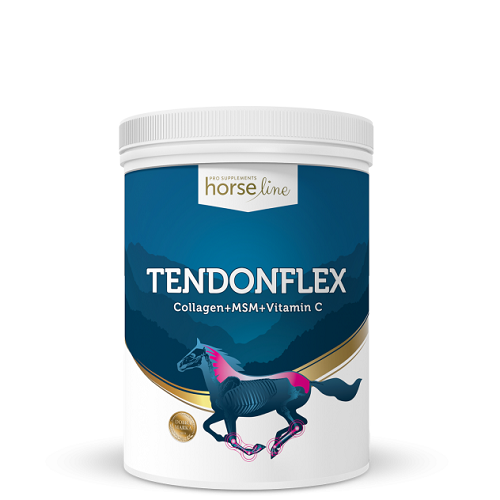 HorseLinePRO-tendonflex-new-624x632.png