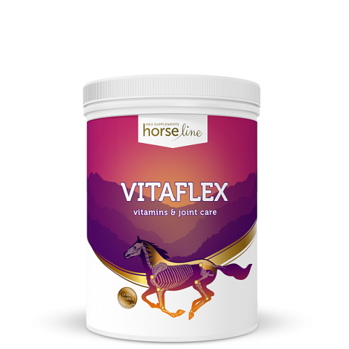 HorseLinePRO-VitaFlex-new-624x632.png