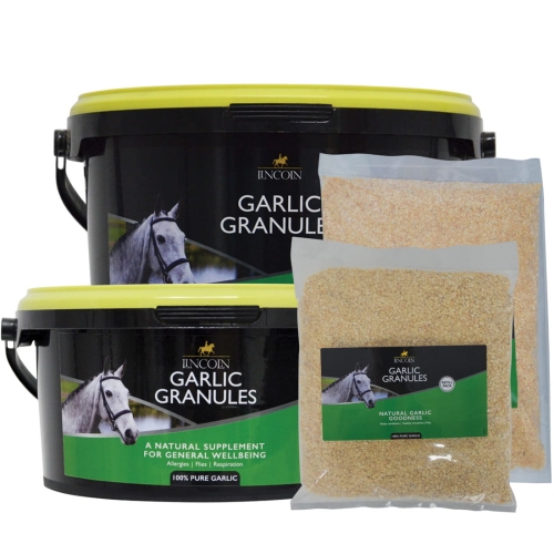 Lincoln Garlic Granules
