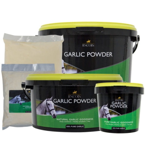 Lincoln Garlic Powder