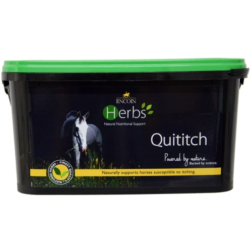 Lincoln Quititch