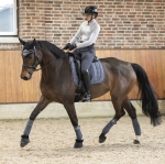 Nauszniki HKM Rosewood