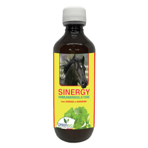Sinergy multiwitamina i minerały Union Bio
