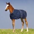 pol_pl_Derka-York-Foal-100g-zrebieca-16171_2.jpg