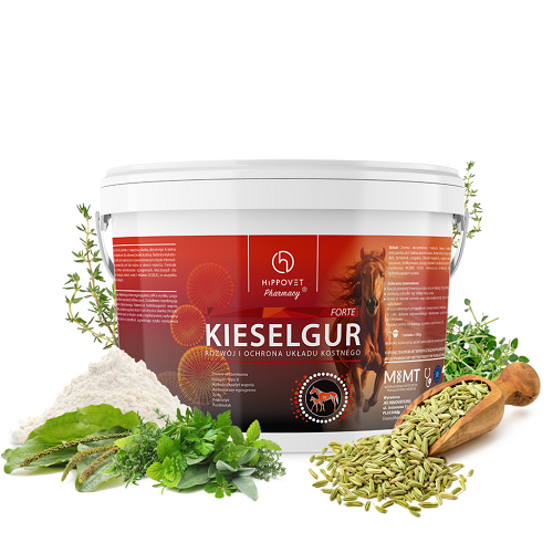 kieselgur-forte-hp-ziola-1024x1024.png