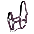 201030059FUL_20103_5959_ACTIVE_HORSES.jpg