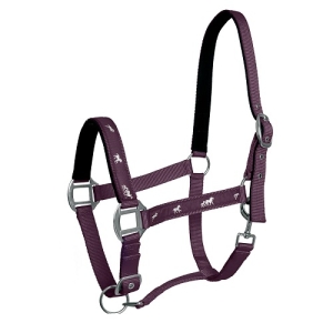 Kantar API Active Horses