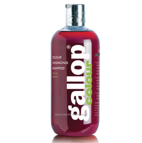 Szampon dla koni gniadych C&D&M "Gallop Colour"