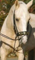 TN128023_image_vorne.jpg
