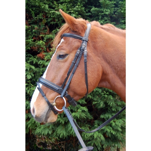 Ogłowie sportowe podszyte Daw-Mag "Accenti"