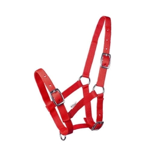 Kantar na źrebię Start 