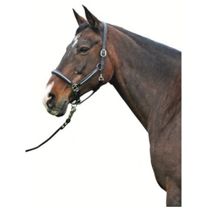 Kantar skórzany HKM Diamond