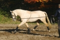 TN128023_image_bewegung.jpg