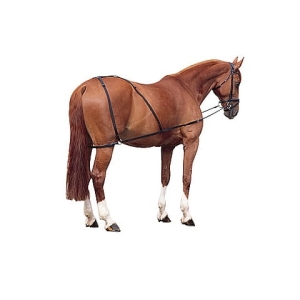 Zestaw treningowy York