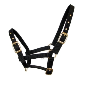 Kantar na źrebię Start