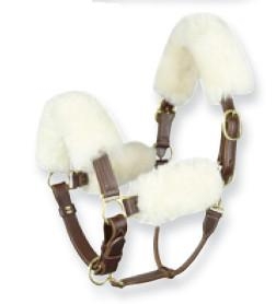 Zestaw futerek na kantar Horze