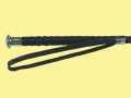 A12a.JPG