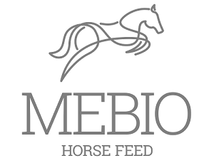 Mebio